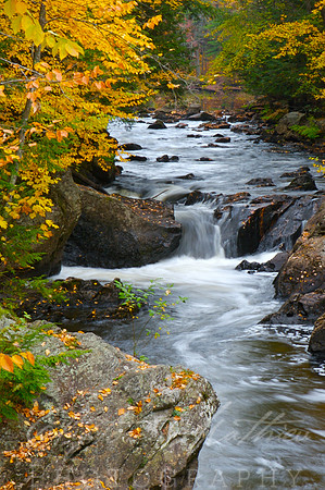 Black Water River, Near Pearson Memorial