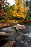 Fall Foliage