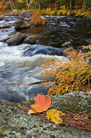 Black Water River, Near Trail Off  Rt. 127