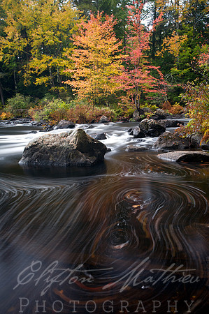 Black Water River Swirl