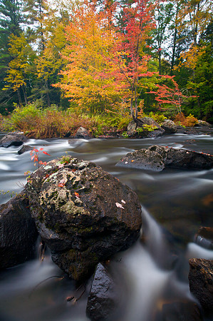 Black Water River Webster, N.H.