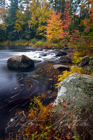 Black Water River, South of Clothespin Bridge