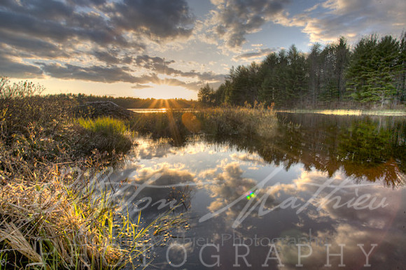 The Marsh
