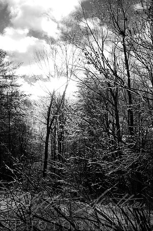 Ice Storm