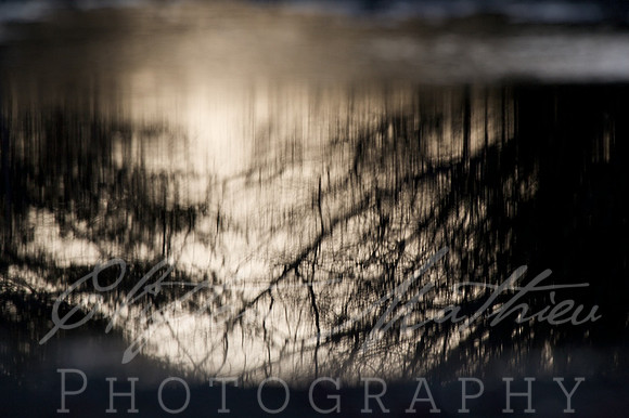 Icy Reflection