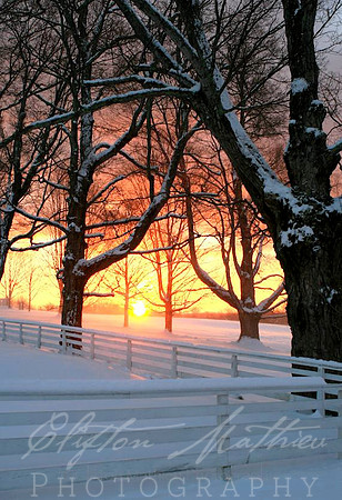Shaker Sunrise