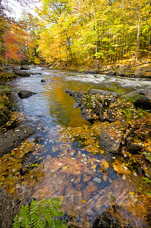 Black Water River, Near Trail Off  Rt. 127