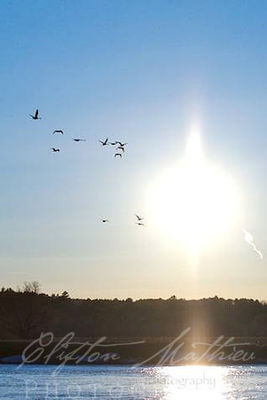 Into The Sun