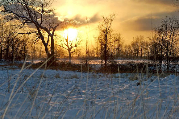 Febuary 2007 Sunrise, Shaker Field